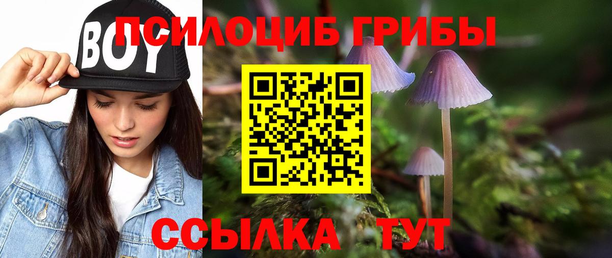 Псилоцибиновые грибы GOLDEN TEACHER Полысаево
